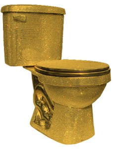 342x450px-86e6ee39_Gold-Toilet